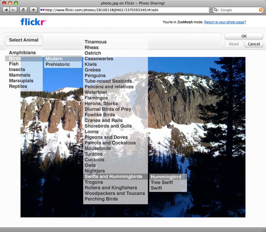 flickr_interface_s.jpg